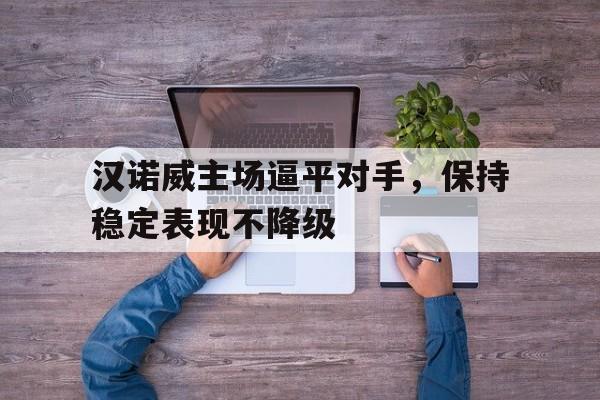 汉诺威主场逼平对手，保持稳定表现不降级的简单介绍